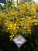 Trying to master the skill of zero-tasking